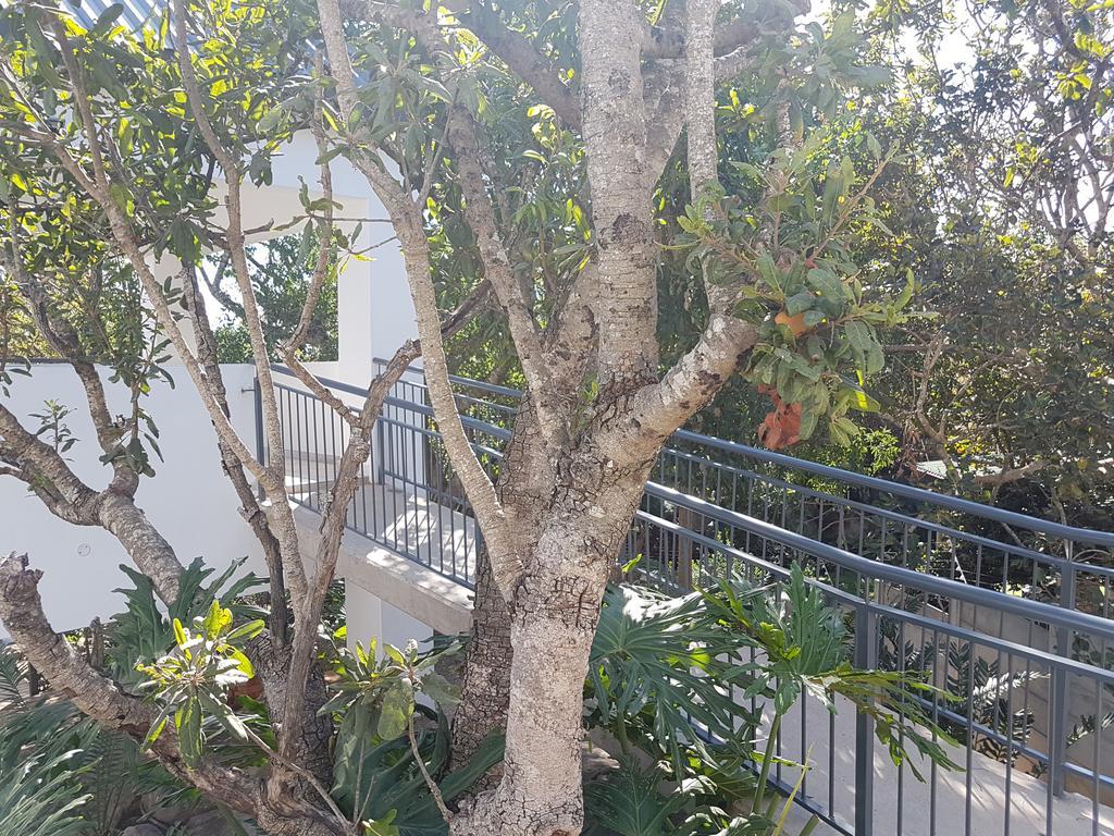Be Our Guest Self Catering Apartamento Mbombela Exterior foto